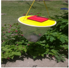 modern fly traps